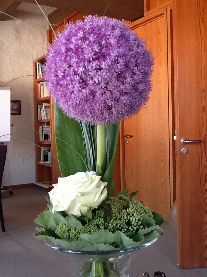 Allium Globemaster - als Schnittblume.JPG